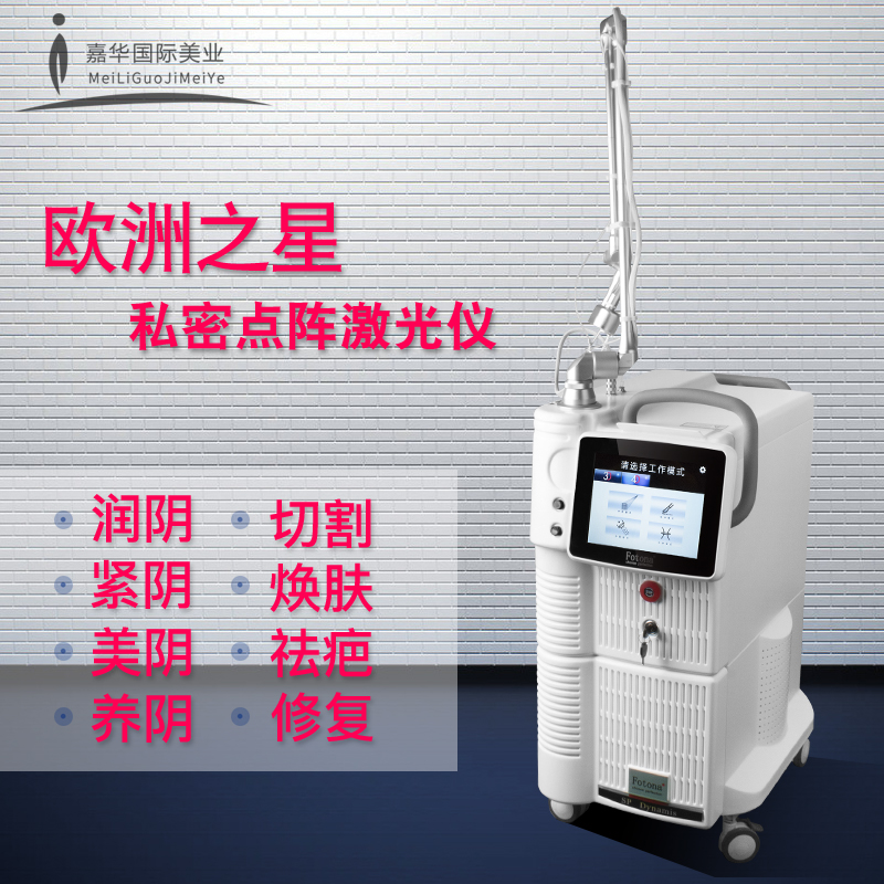 歐洲之星co2點陣激光儀