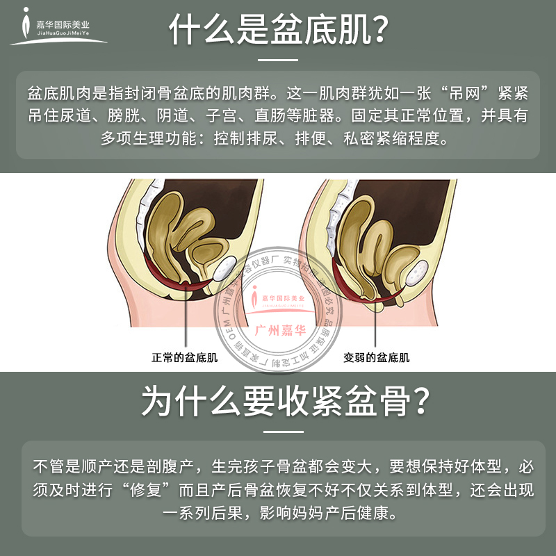 盆底肌修復(fù)儀